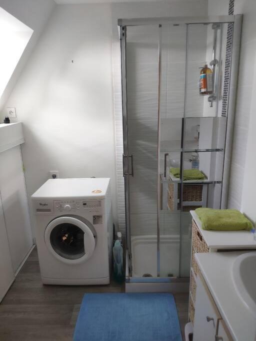 Le Tropica Appartement 2 Chambres, Plein Sud Centre Ville De Vitre Eksteriør bilde