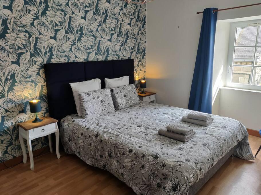 Le Tropica Appartement 2 Chambres, Plein Sud Centre Ville De Vitre Eksteriør bilde