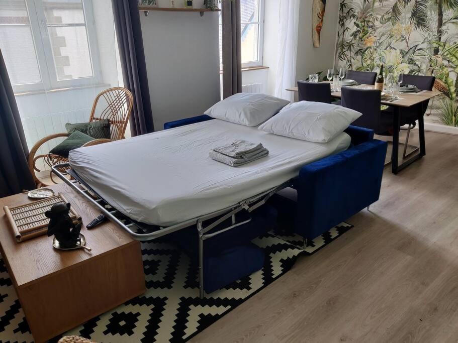 Le Tropica Appartement 2 Chambres, Plein Sud Centre Ville De Vitre Eksteriør bilde