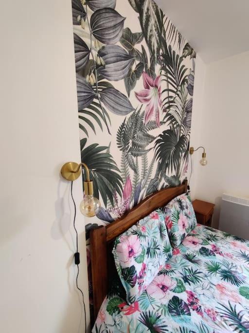 Le Tropica Appartement 2 Chambres, Plein Sud Centre Ville De Vitre Eksteriør bilde
